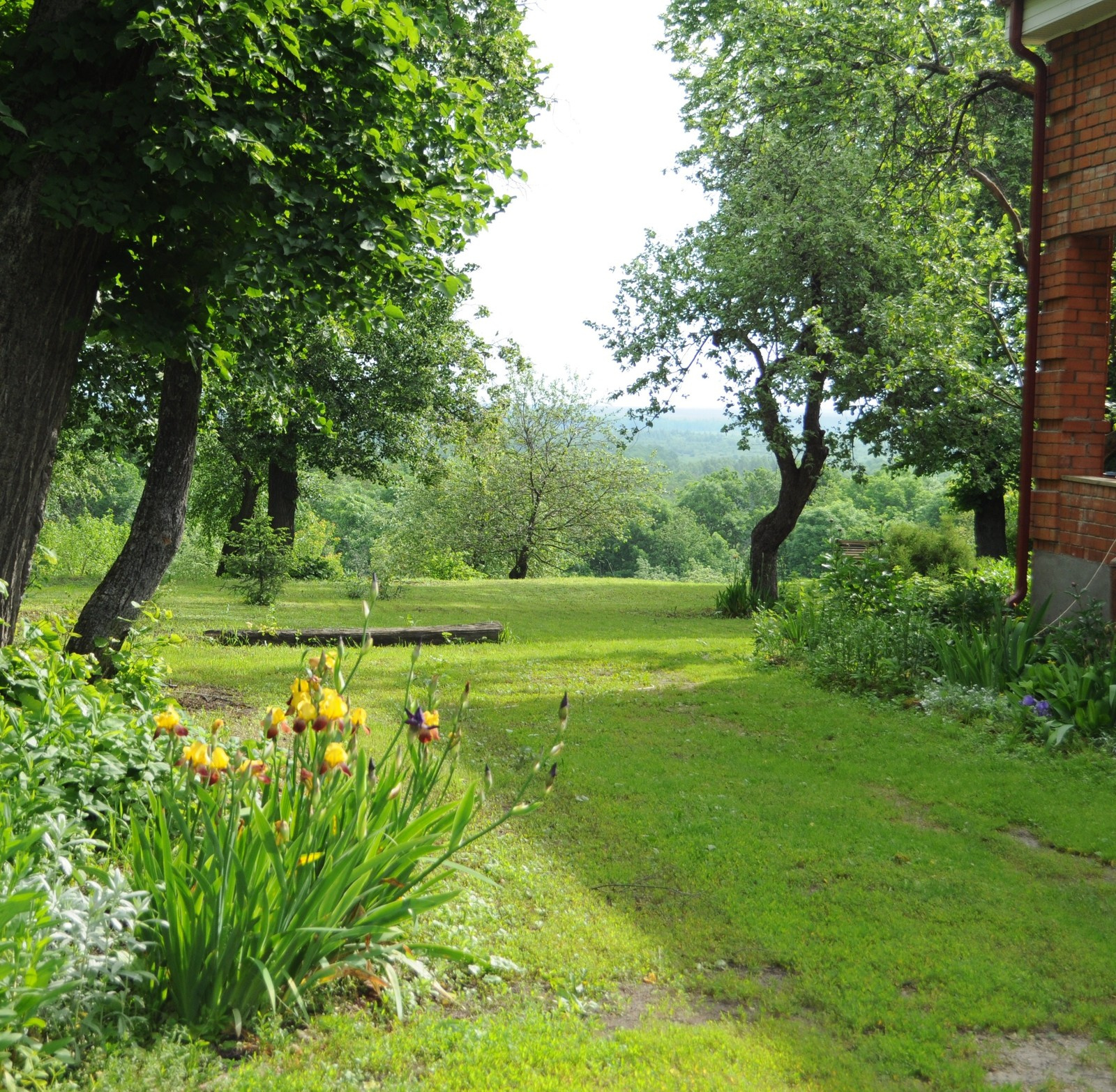 Алиса Тягунова