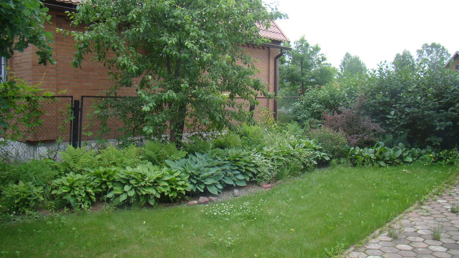 Олеся Вержбицкая