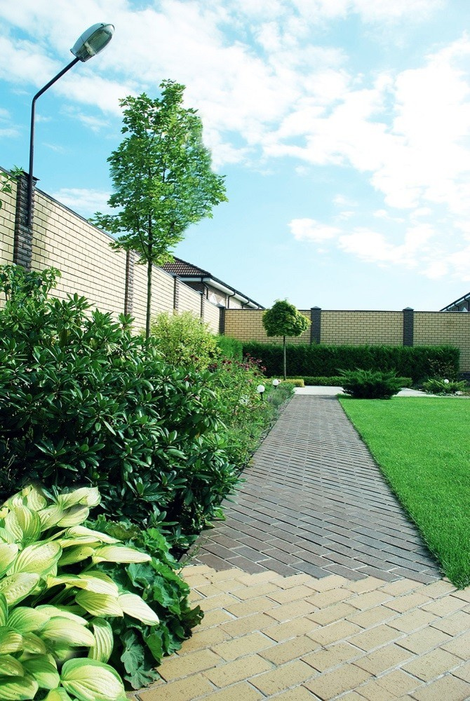 Фоновое изображение профиля Vadim Mokin