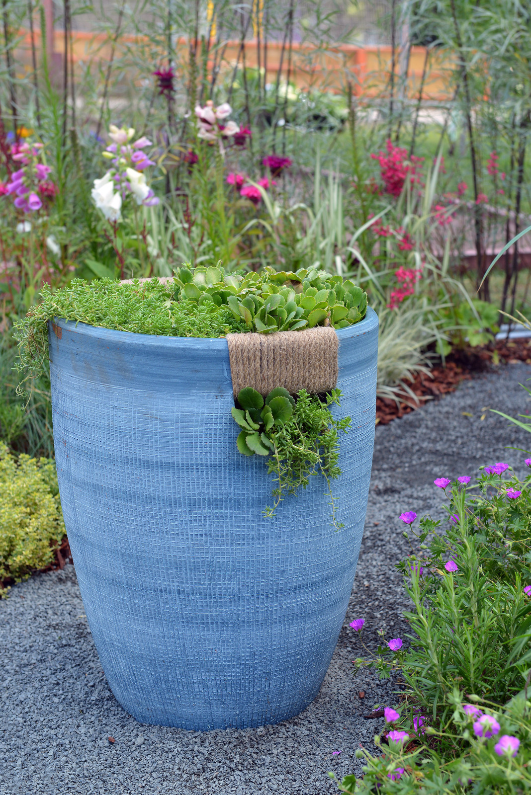 Серебряная медаль на конкурсе "Moscow Flower Show"