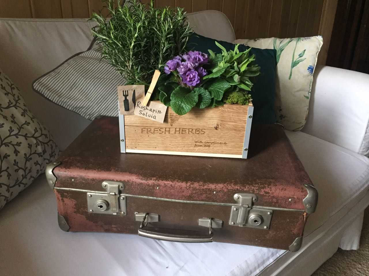 Фоновое изображение профиля botanika pro