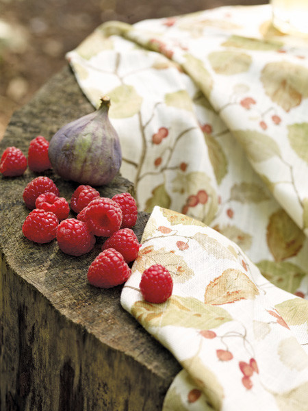 Как взглянуть на мир цвета другими глазами?