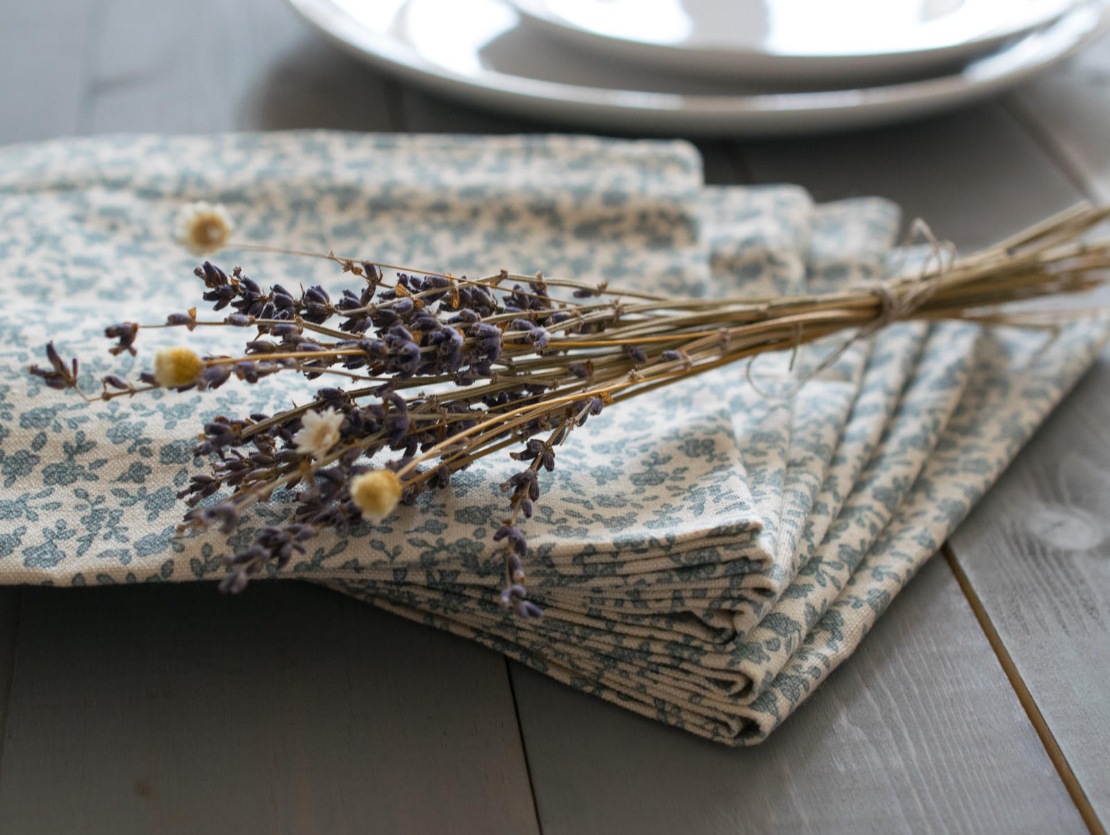 Съемка для HelgiHome