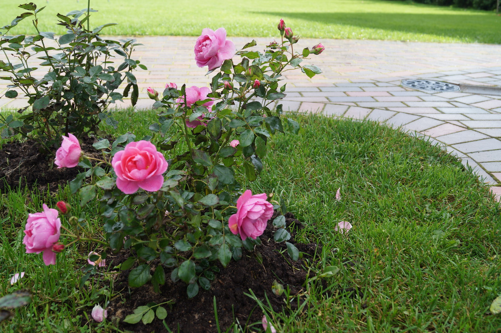 Токкари Лэнд