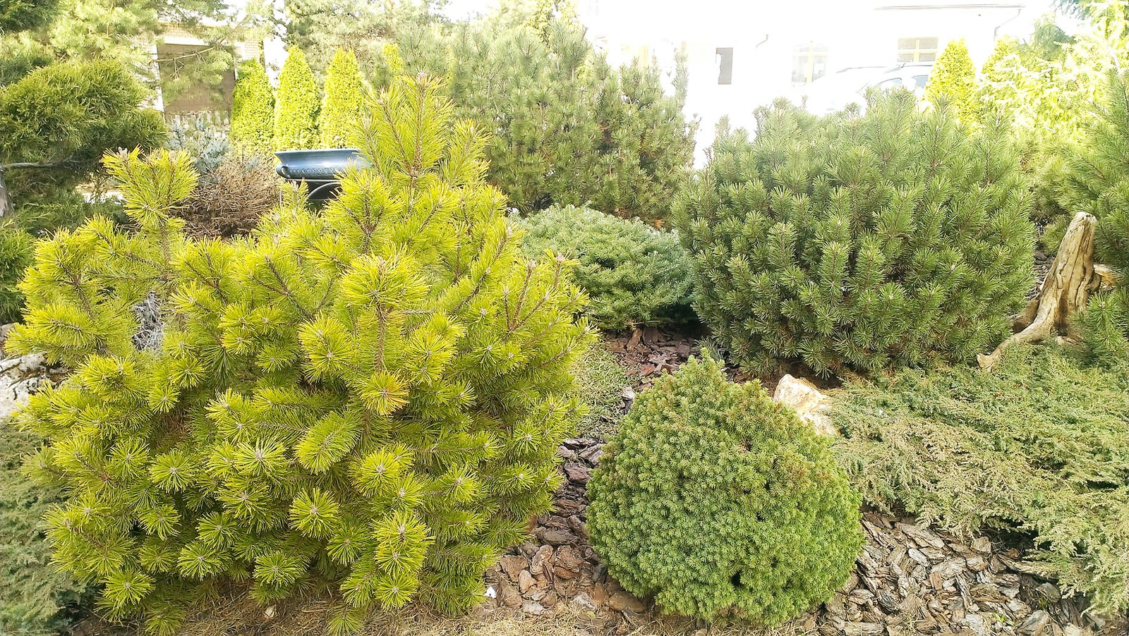 Фоновое изображение профиля Сад как Театр