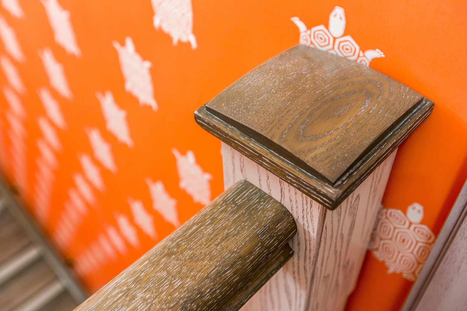 Тайный фэншуй: Животные-помощники и тайные друзья в доме