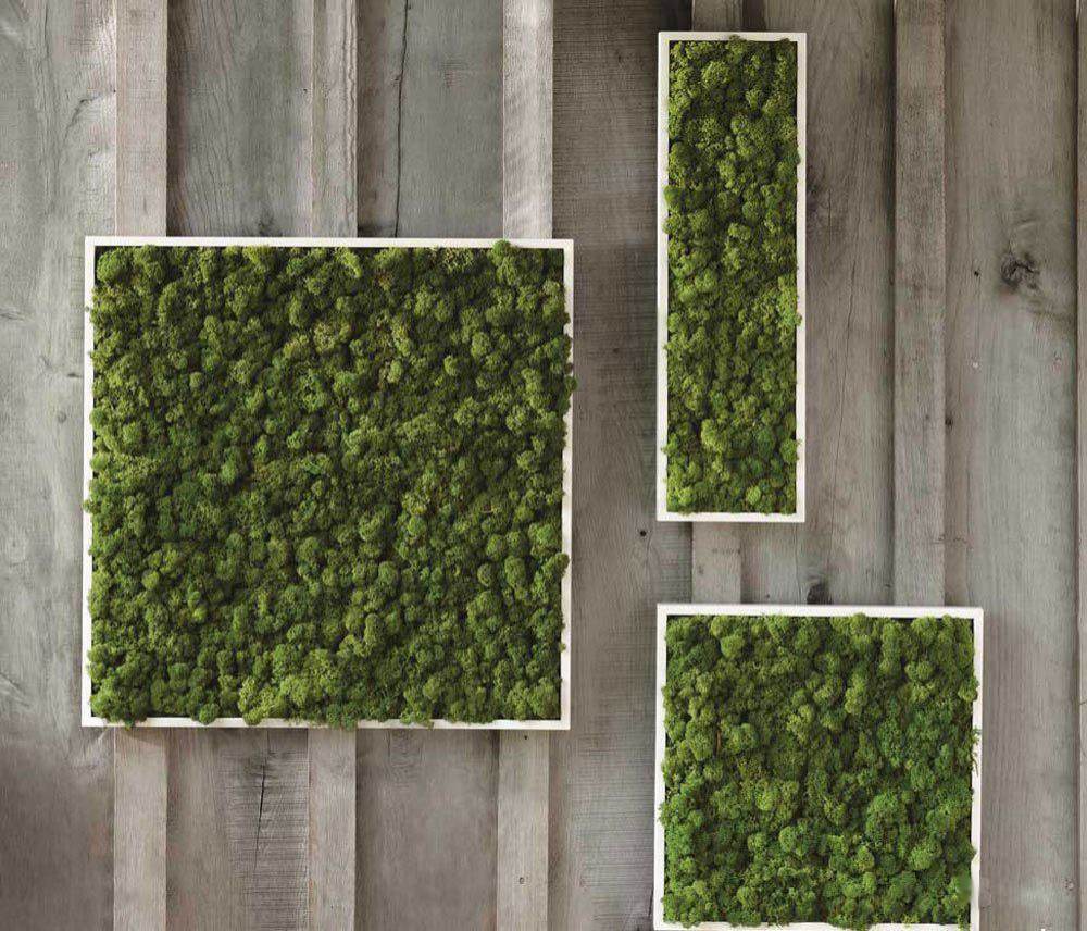 Обложка проекта: Панно и стены из стабилизированного мха