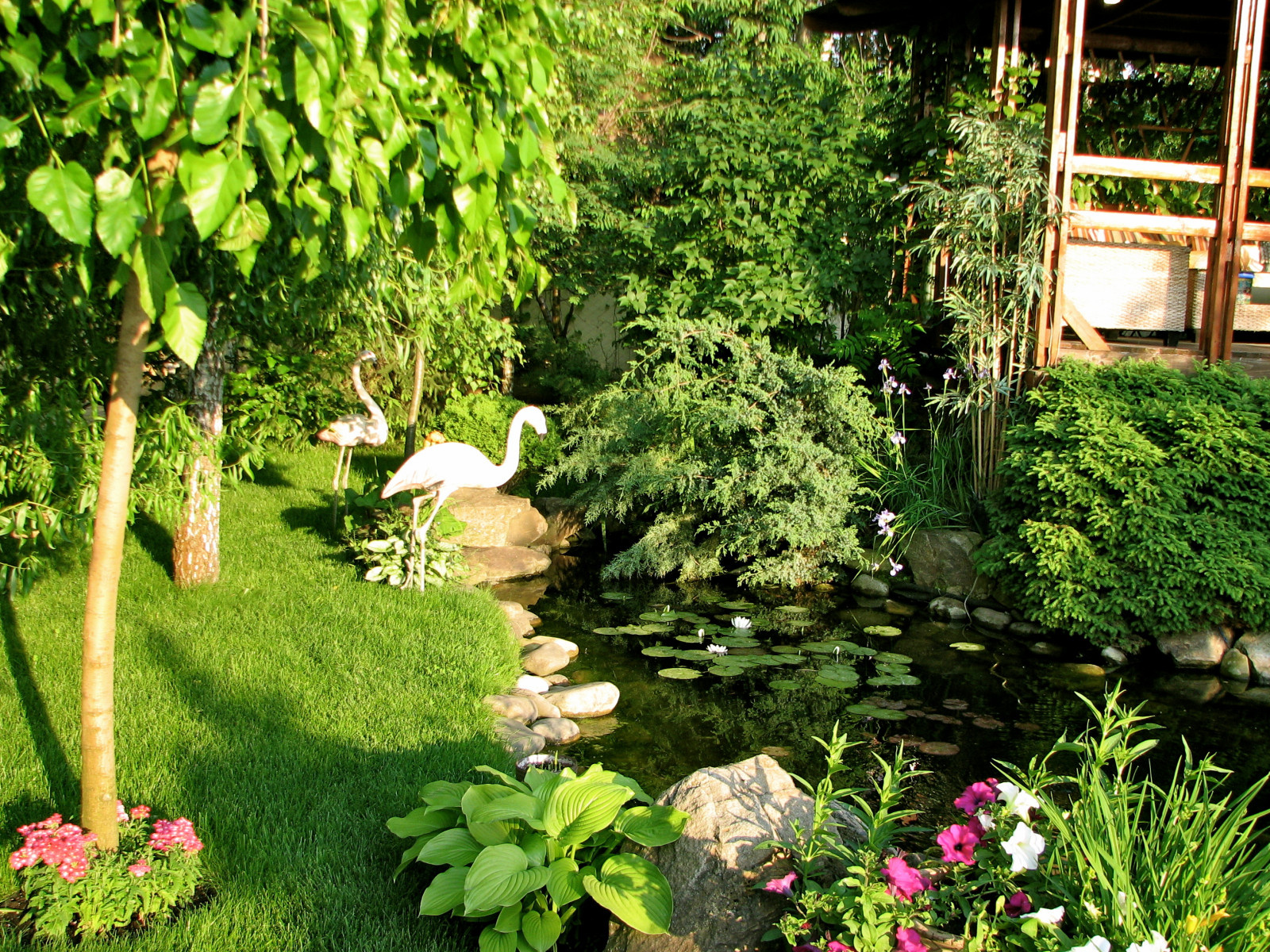 Японский сад