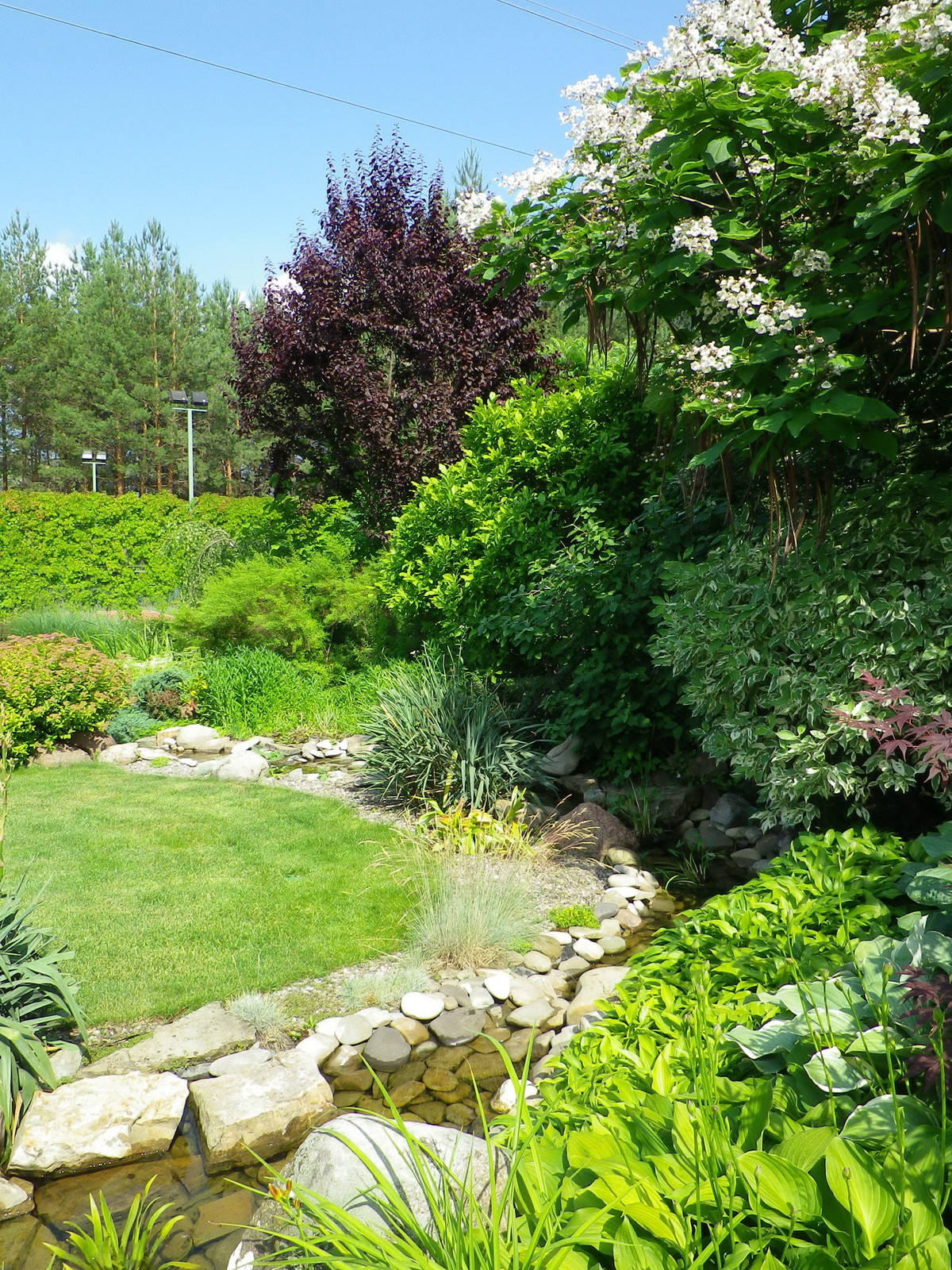 Японский сад