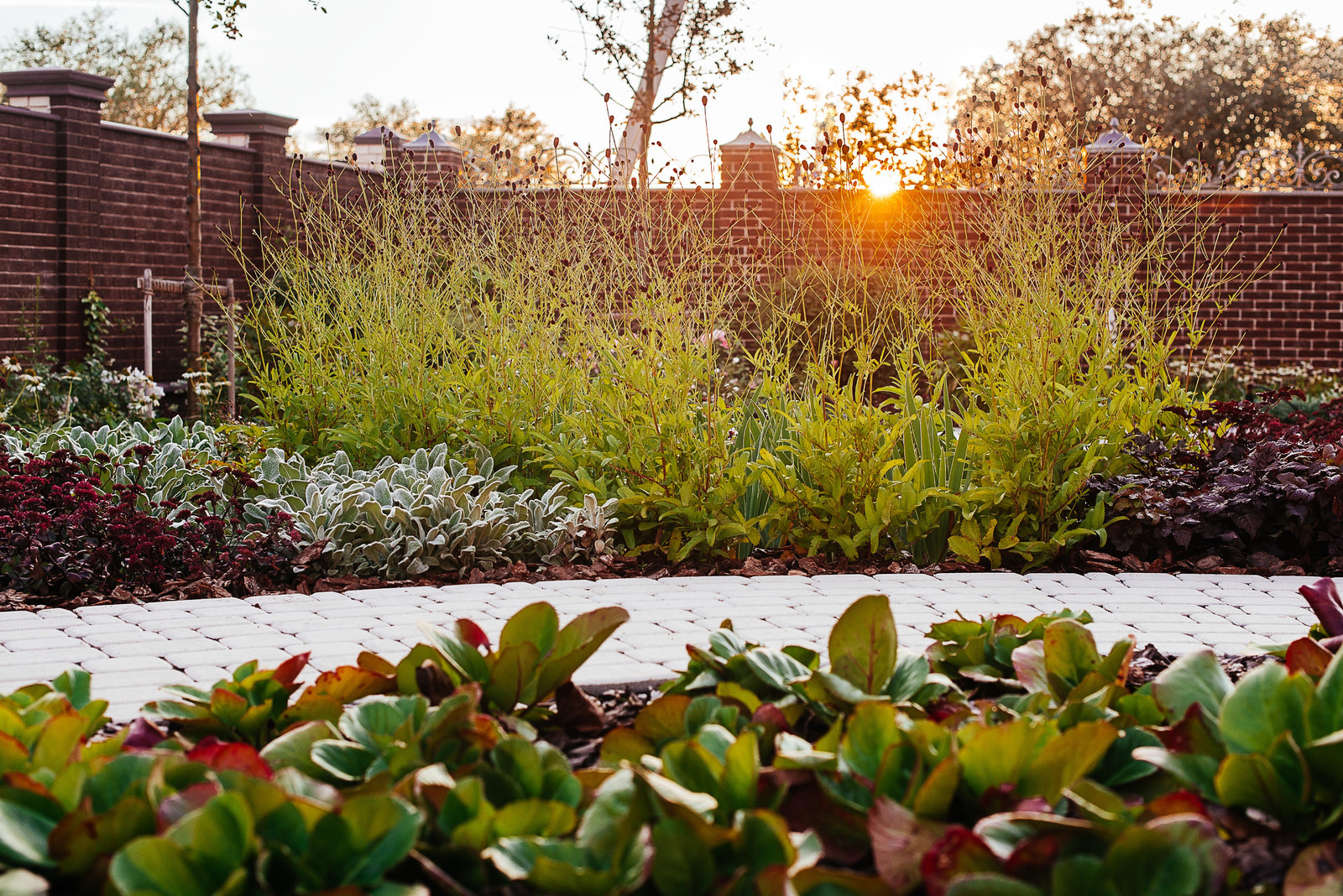 Обложка альбома: SAD