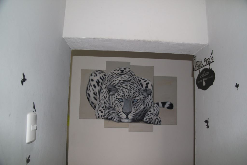 APARTMENT SOSUA