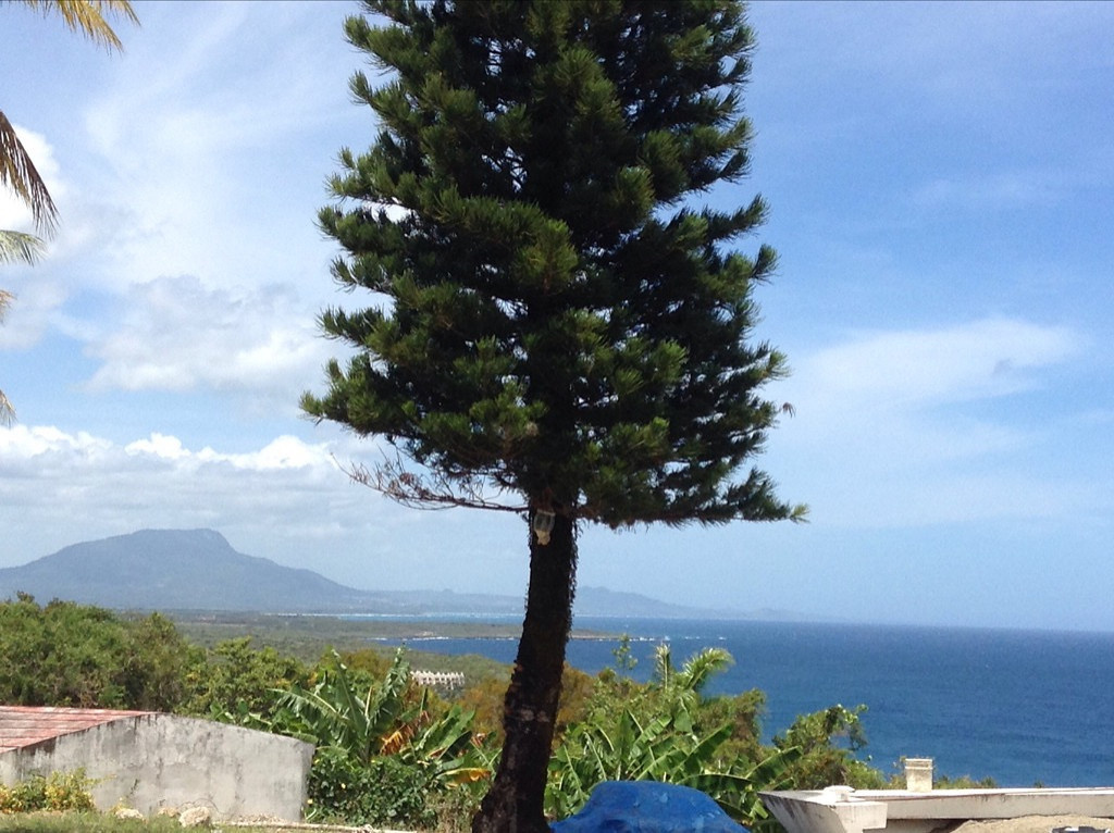 APARTMENT SOSUA