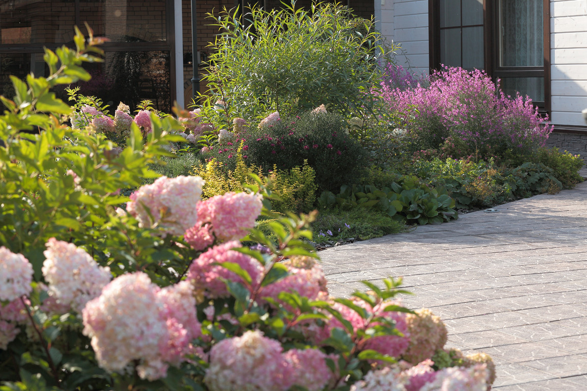 Хвойный миксбордер