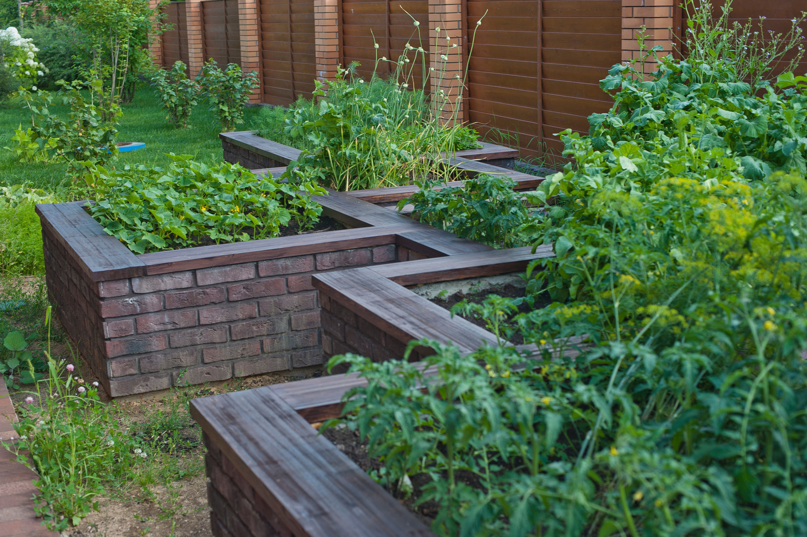 Истра кантри клаб