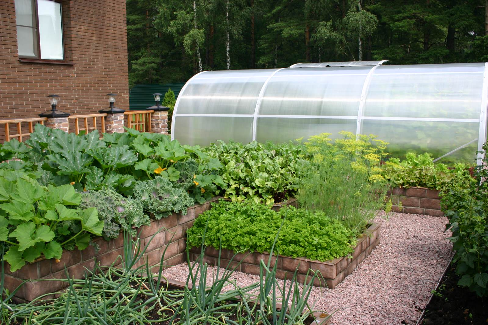 Истра кантри клаб