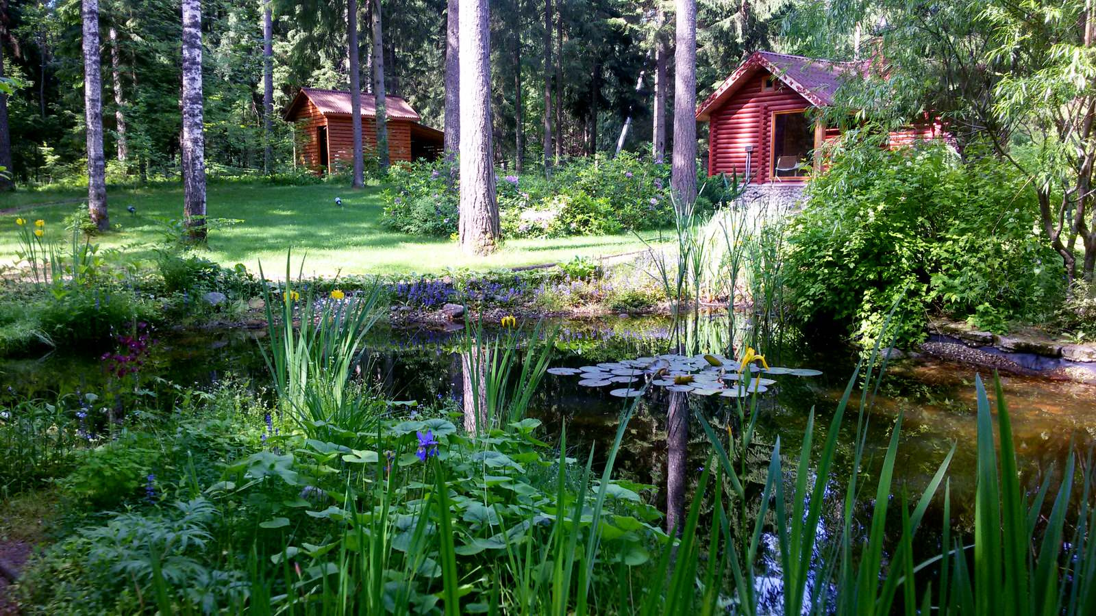 Пруд с кувшинками в пейзажном стиле