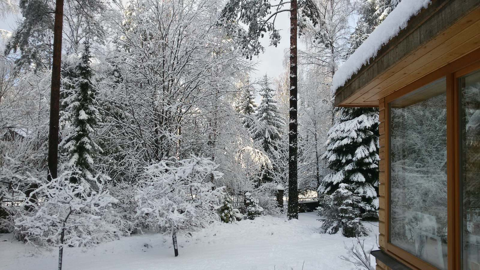 Вид на подъездную дорогу с террасы дома
