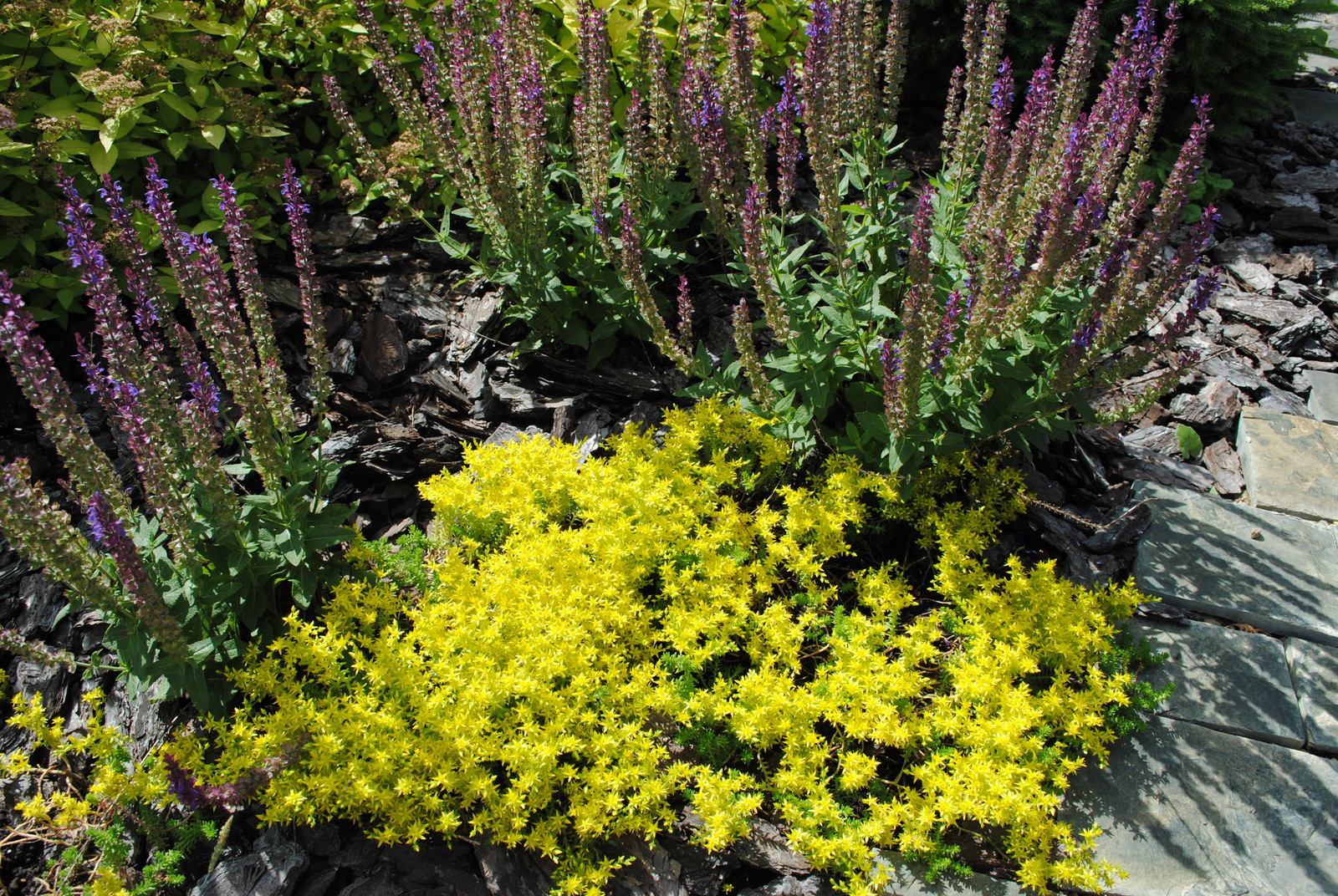 КП Графские пруды