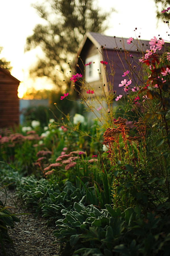 Ландшафты и сады 2021 года глазами заказчиков