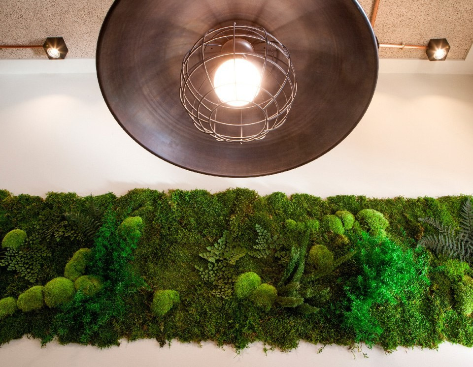 Обложка проекта: Оформление уютненького кафе