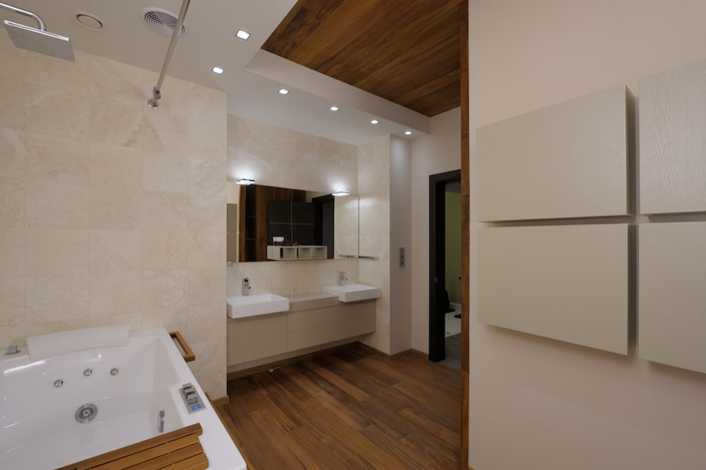 Проект Улофа Пальме