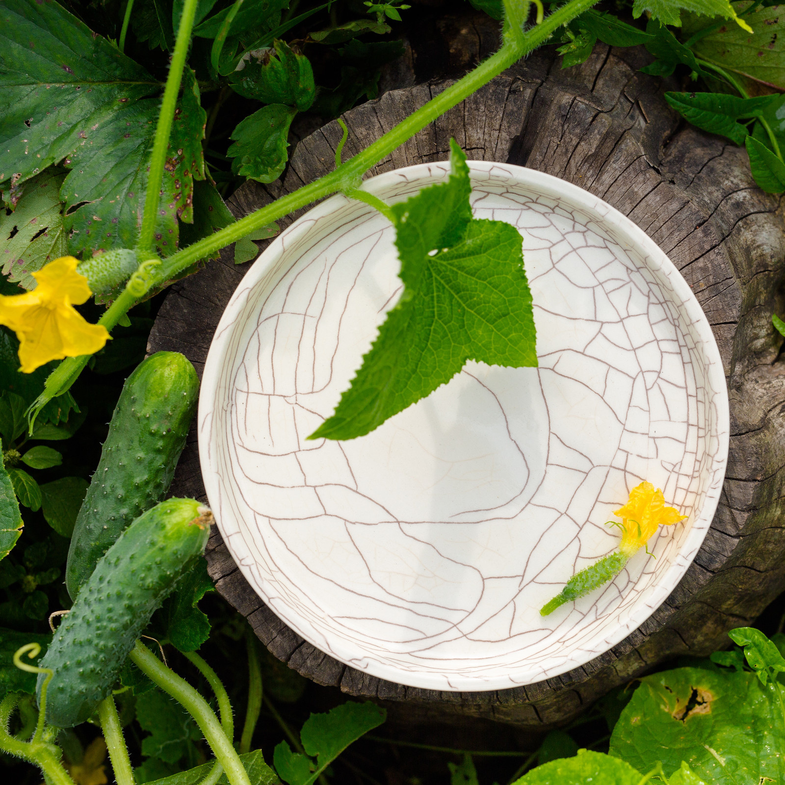 Ландшафты и сады 2021 года глазами заказчиков