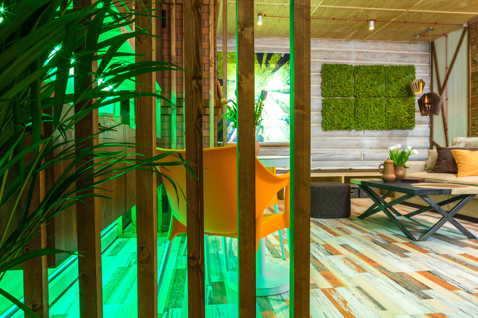 ГОСТИНАЯ В ДЕРЕВЕ. Фазенда (Первый канал)