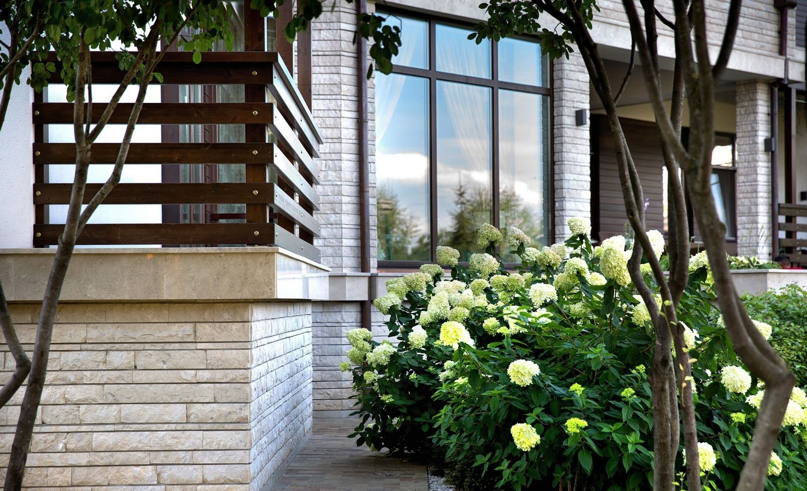 Вопрос: Как правильно выращивать гортензию