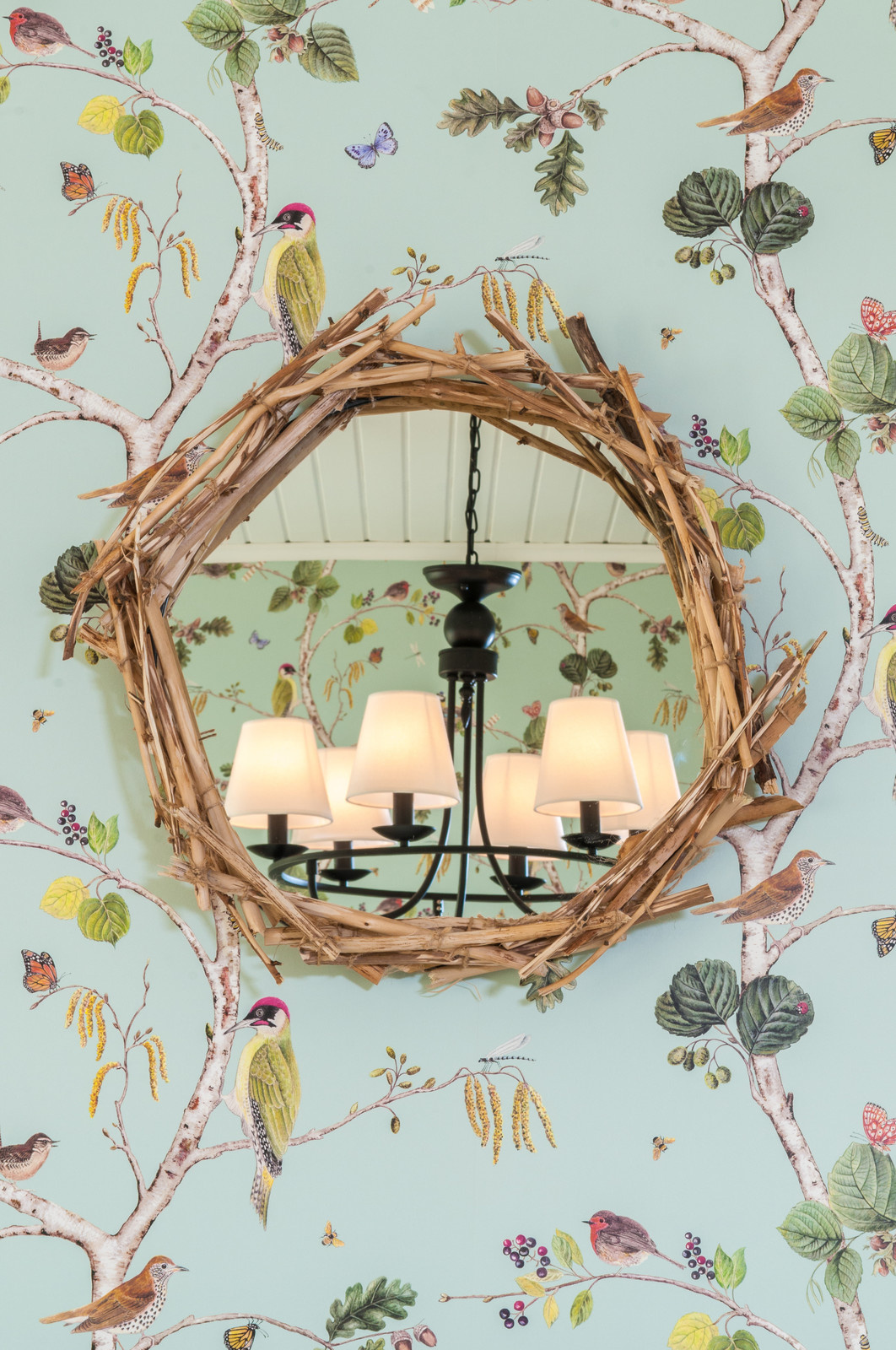 Обложка проекта: Проект для ТВ-Программы "Фазенда"