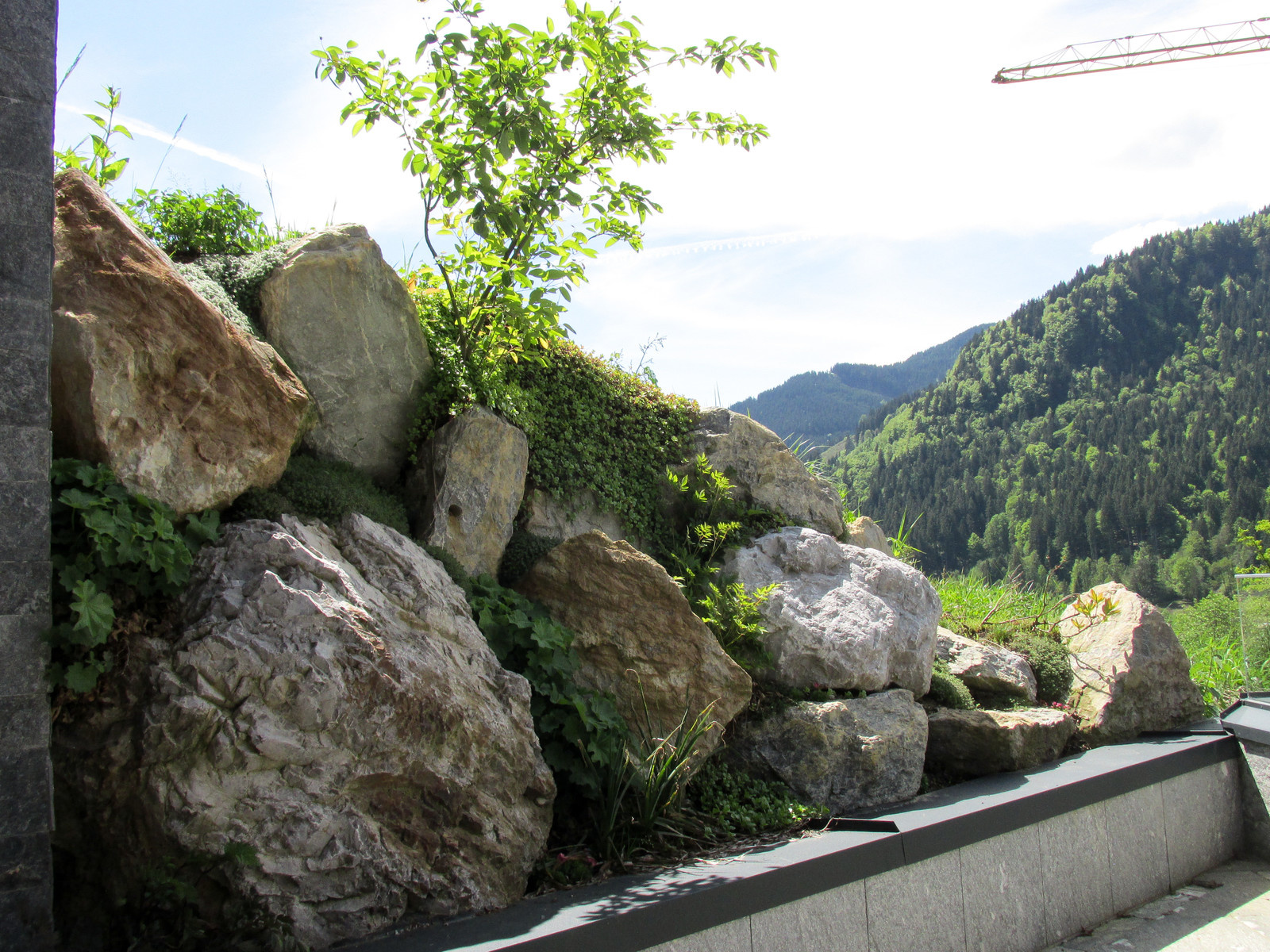 Garden design in Asian style in Austria