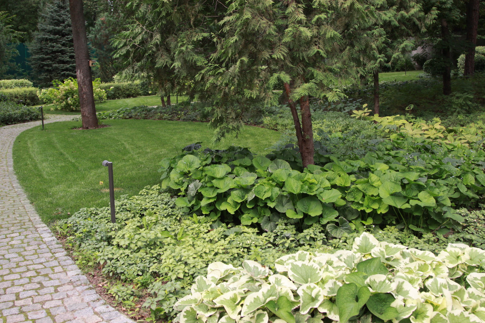 Лесная часть