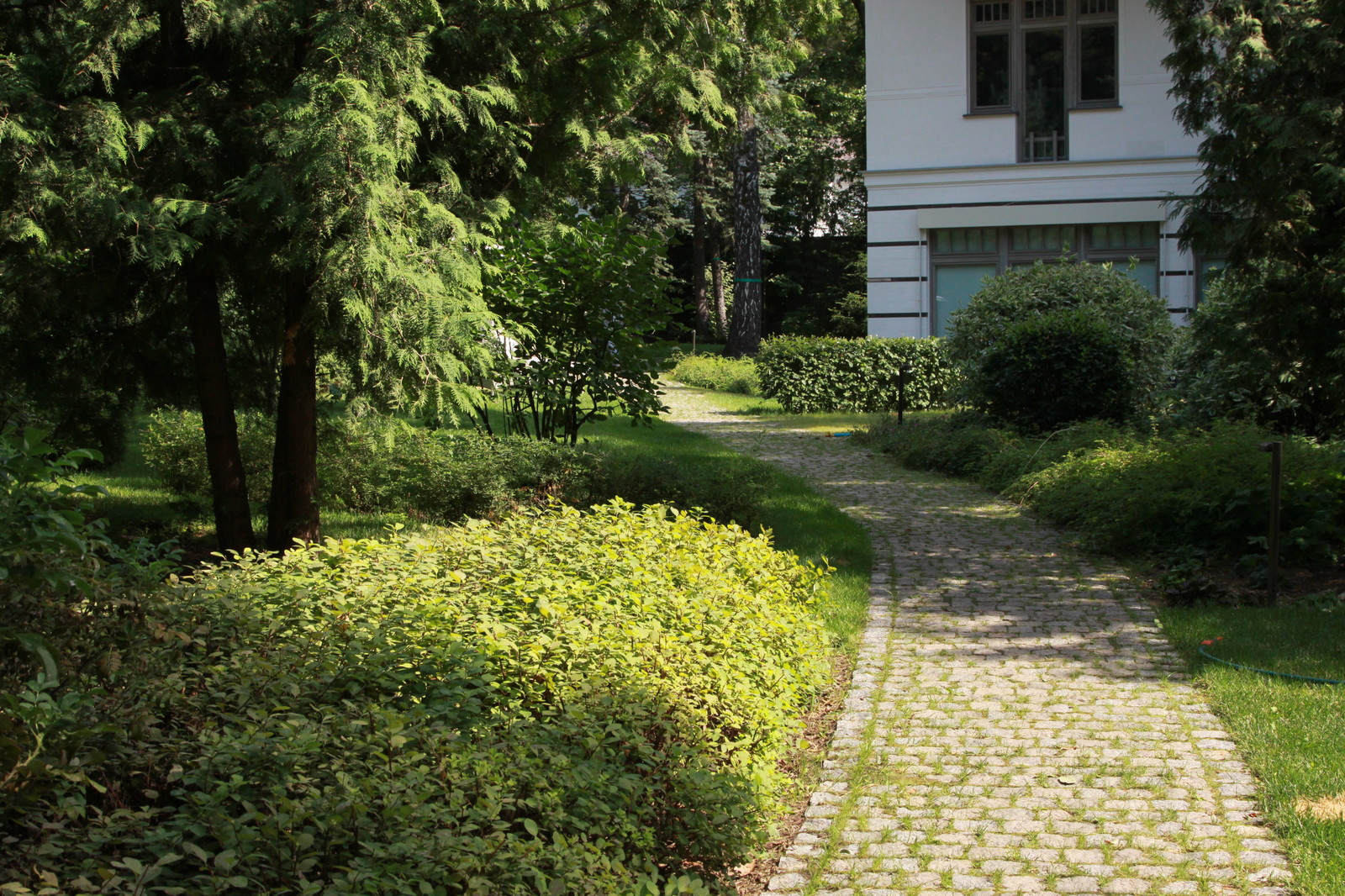 Сад в Серебрянном Бору