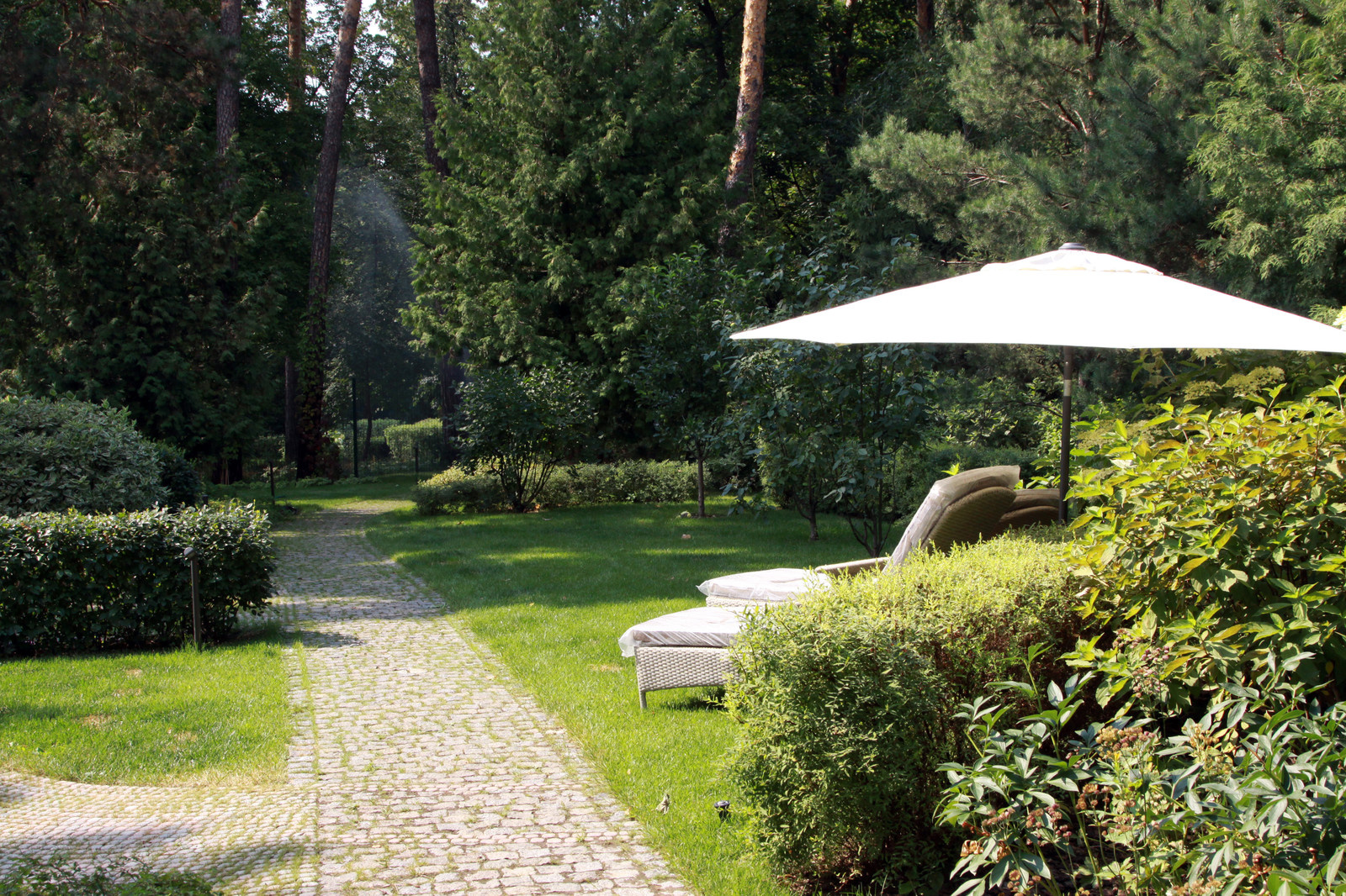 Сад в Серебрянном Бору