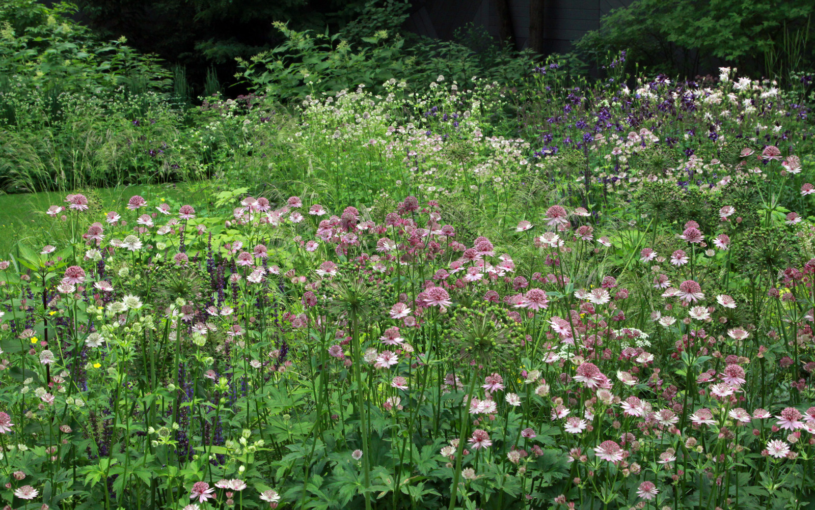 Сад в Серебрянном Бору