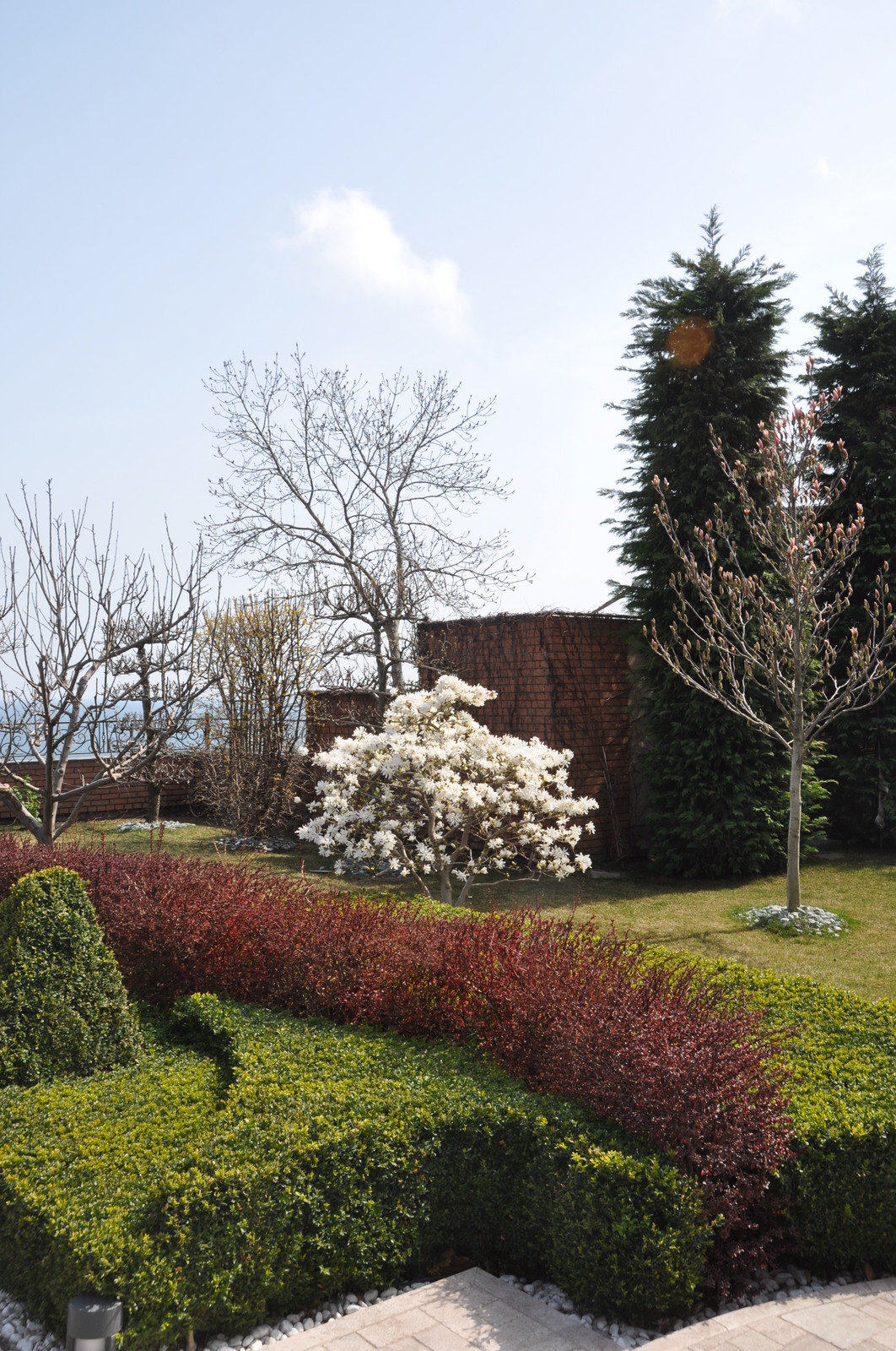 Classic Italian garden. / Классический итальянский сад.