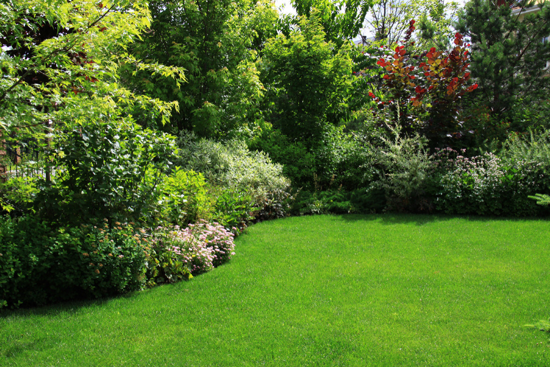 Дизайн-дебаты: О чем спорить с соседями, если ты садовод