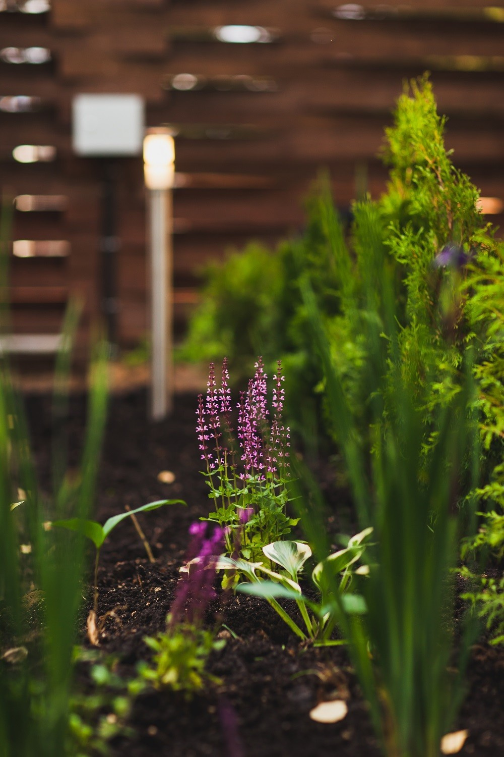 Проект недели: Беседка для семьи актрисы Татьяны Лютаевой