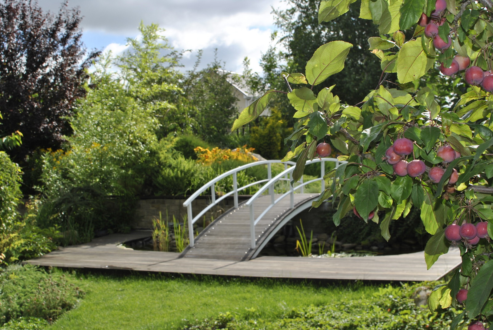 Сад над морем