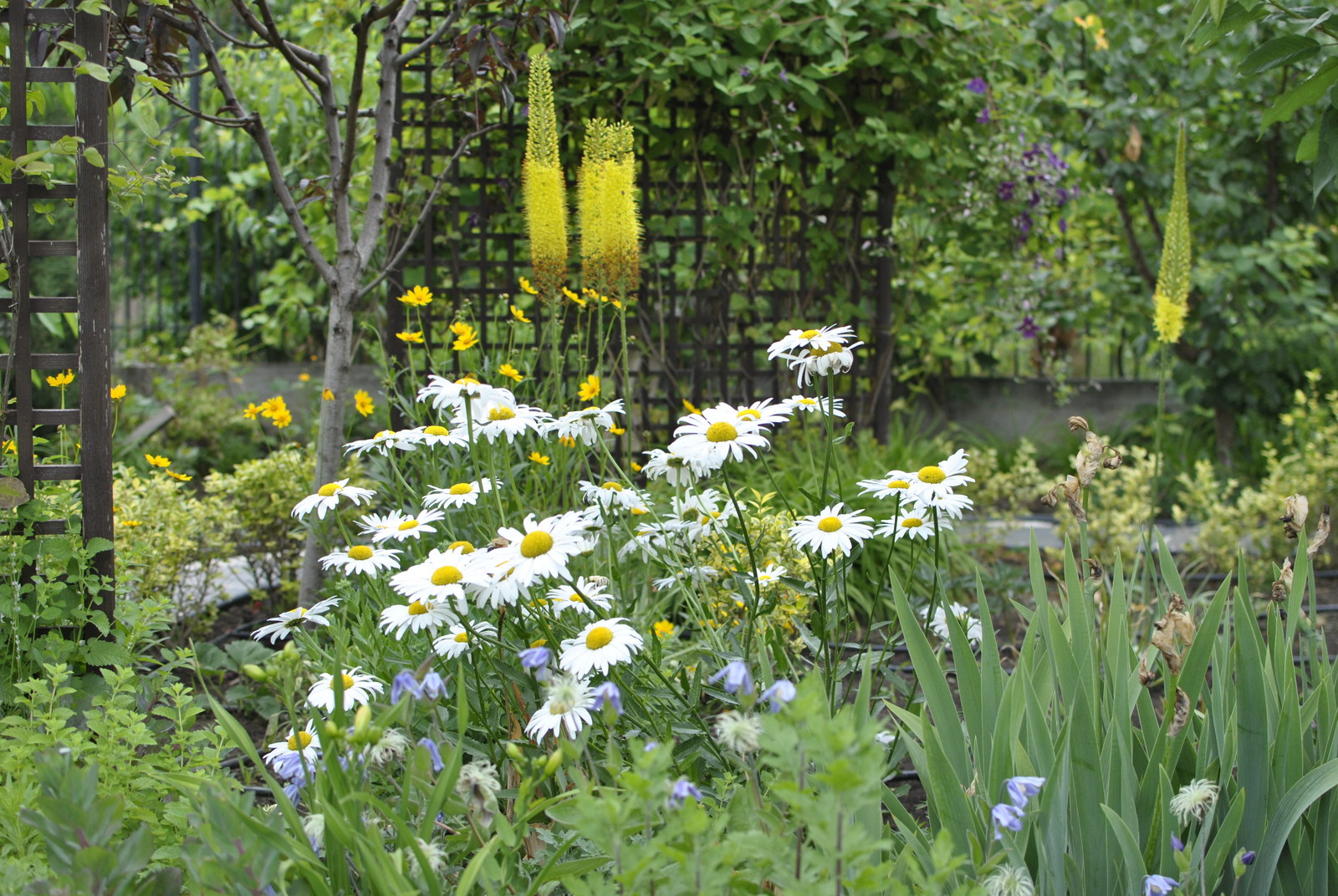 Сад над морем