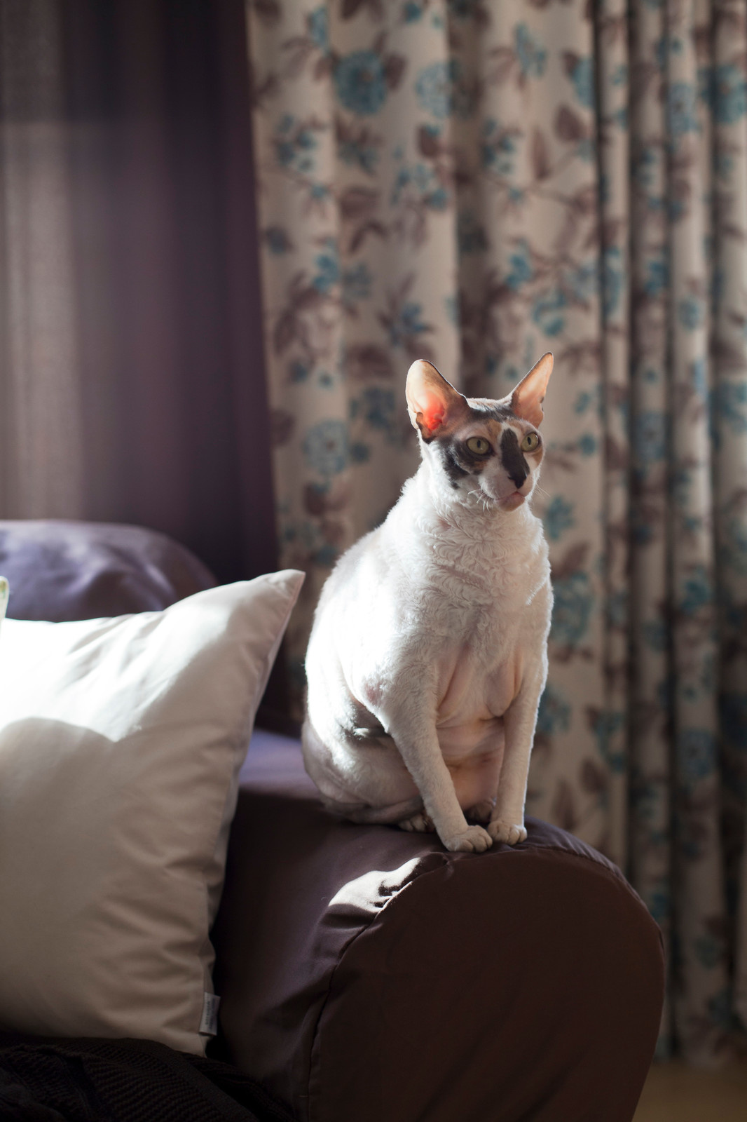 В гостях: Уютная квартира на Октябрьском поле