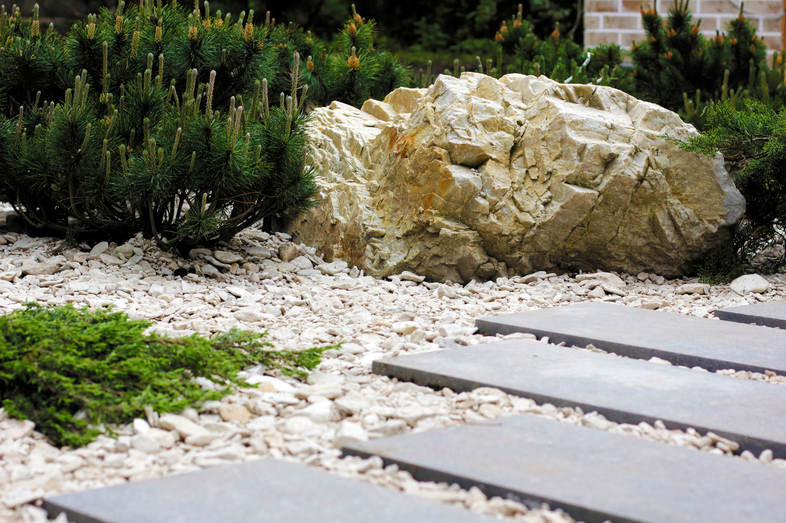 Проект недели: Умный сад на 14 сотках под Петербургом