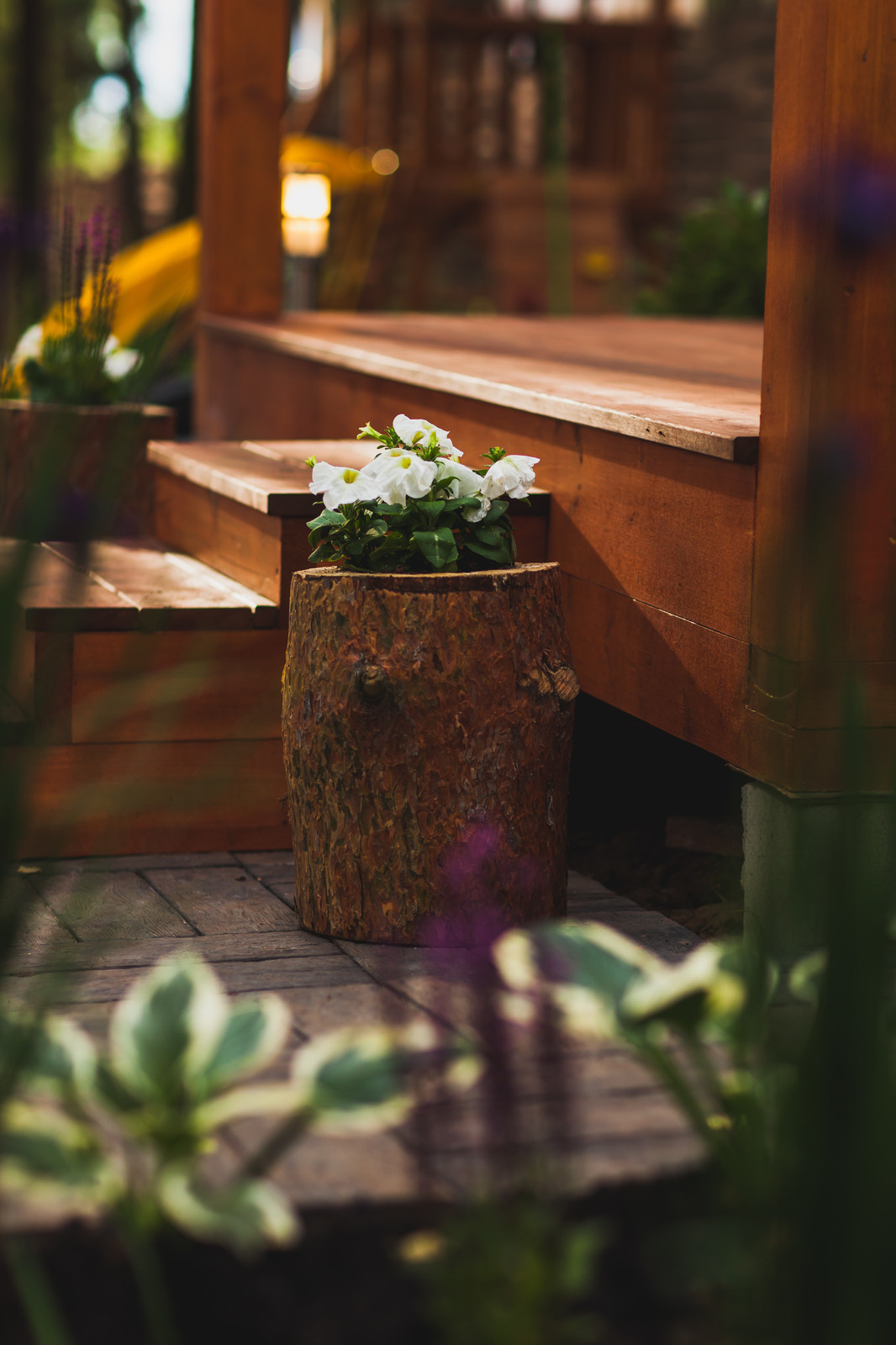 Проект недели: Беседка для семьи актрисы Татьяны Лютаевой