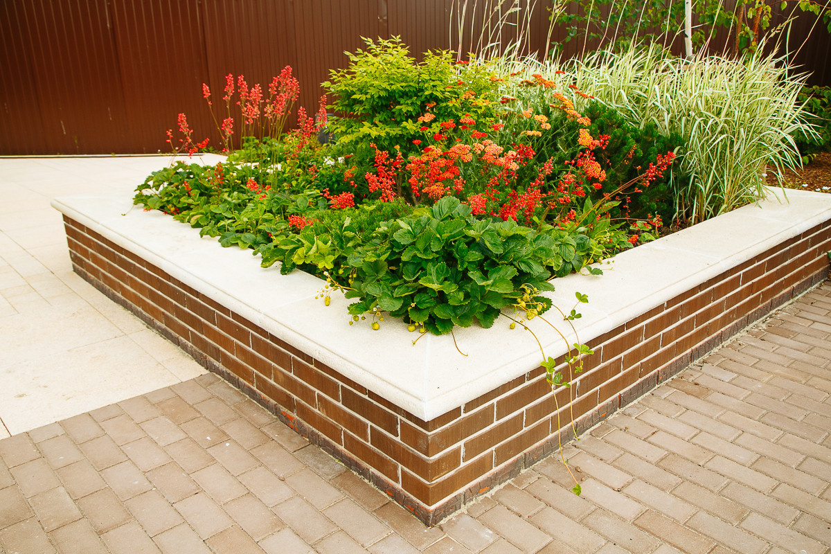 Времена года в саду "Красный октябрь"