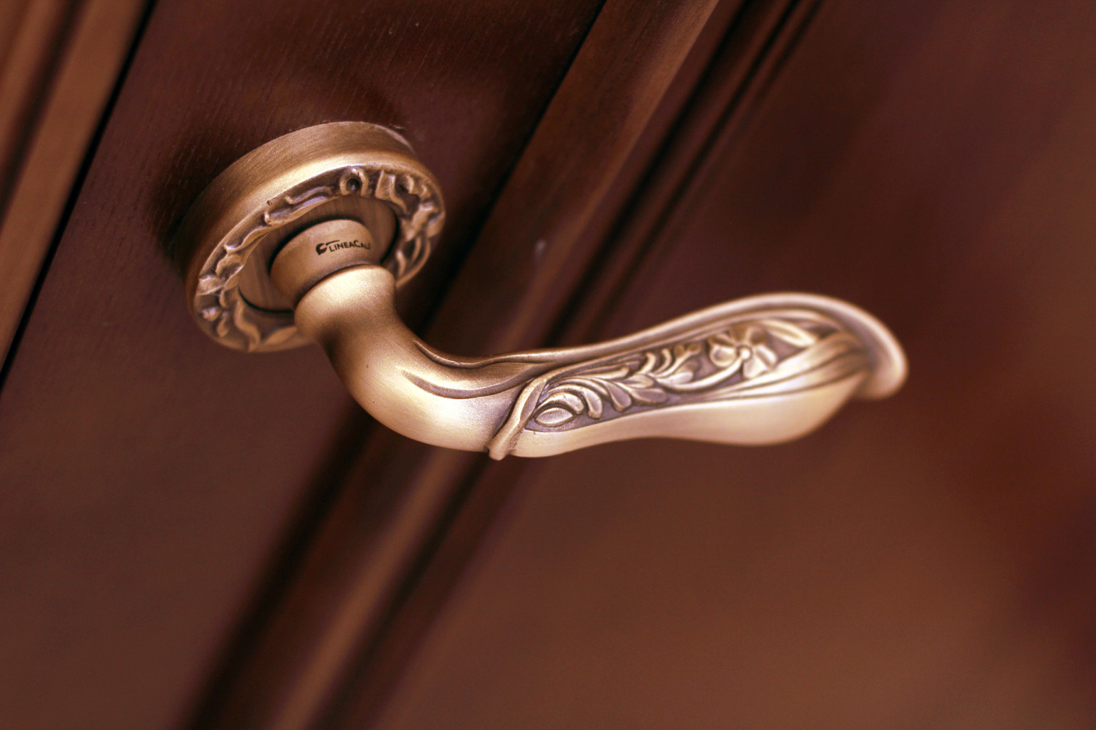 Двери в роскошный дом в г.Краснодаре