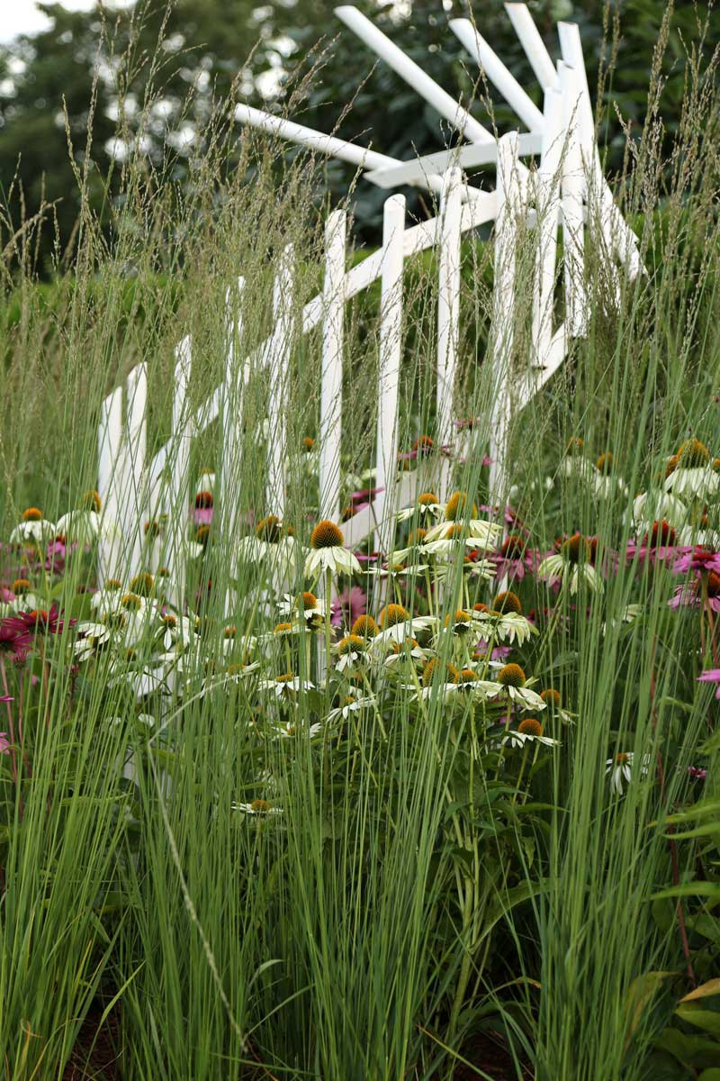 «Времена года» Сад-посвящение Петру Ильичу Чайковскому.