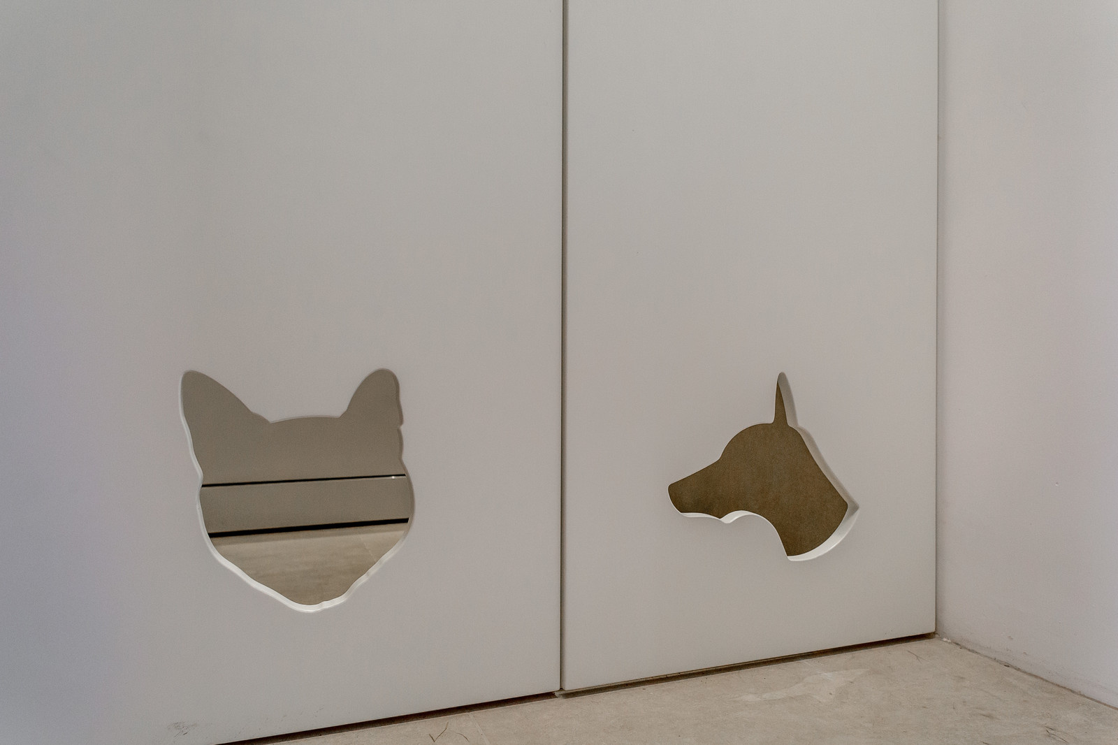 Обложка проекта: ЭФФЕКТ БАБОЧКИ. Проект выполнен для передачи "Дачный ответ" на НТВ.