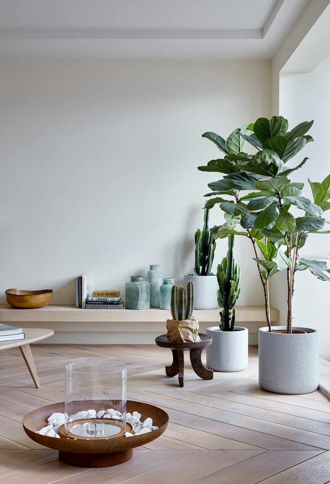 Тренды в озеленении: Как теперь аранжируют комнатные растения