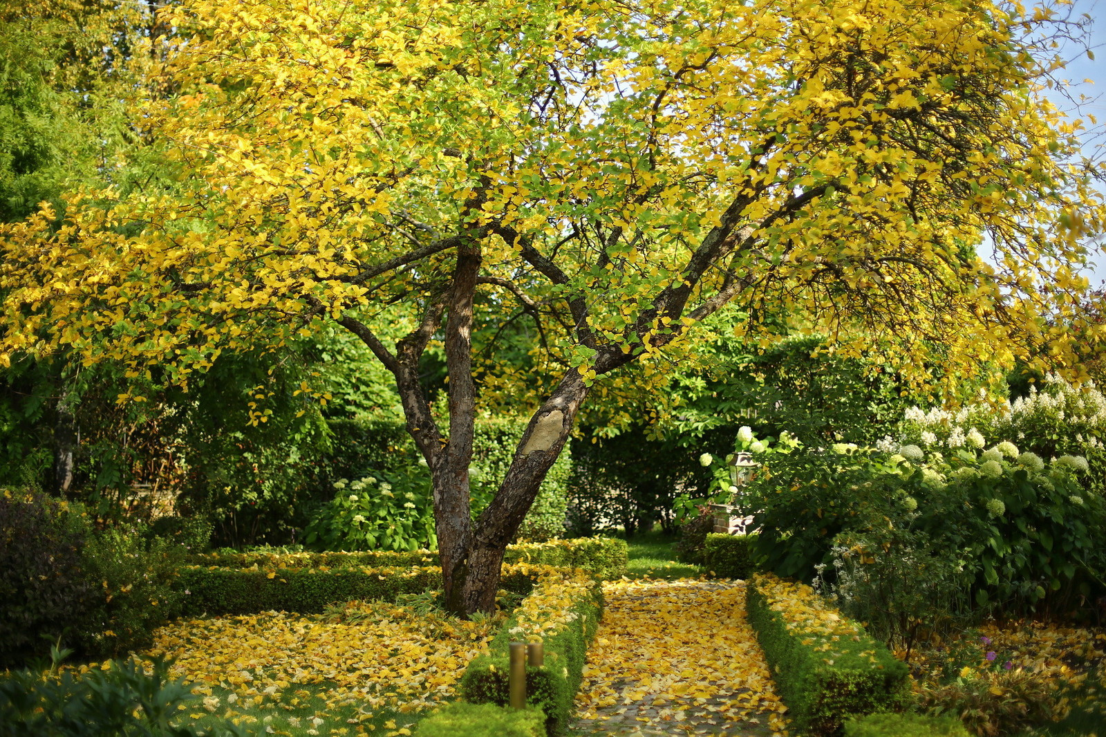 Усадьба Ореховно, Псковская область