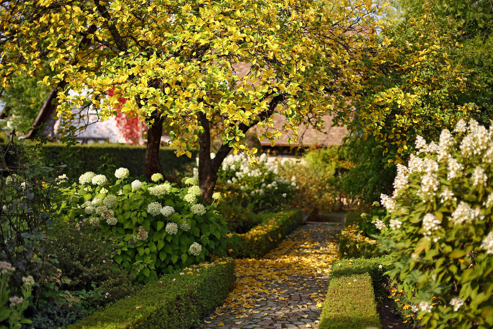 Усадьба Ореховно, Псковская область