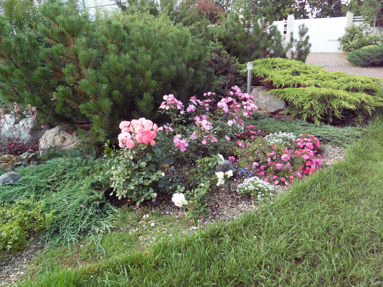 Маленький камерный сад.